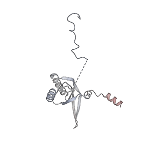 11395_6zse_f_v2-0
Human mitochondrial ribosome in complex with mRNA, A/P-tRNA and P/E-tRNA