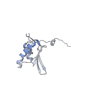 11395_6zse_g_v1-0
Human mitochondrial ribosome in complex with mRNA, A/P-tRNA and P/E-tRNA