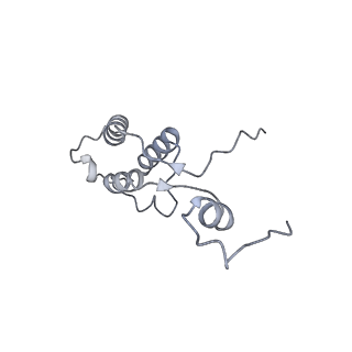 11395_6zse_h_v1-0
Human mitochondrial ribosome in complex with mRNA, A/P-tRNA and P/E-tRNA
