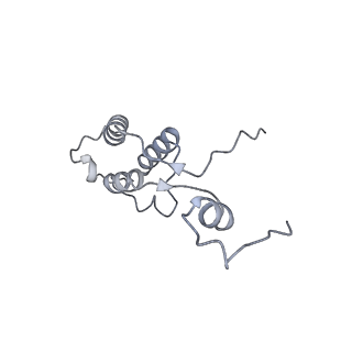 11395_6zse_h_v2-0
Human mitochondrial ribosome in complex with mRNA, A/P-tRNA and P/E-tRNA
