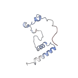 11395_6zse_i_v1-0
Human mitochondrial ribosome in complex with mRNA, A/P-tRNA and P/E-tRNA