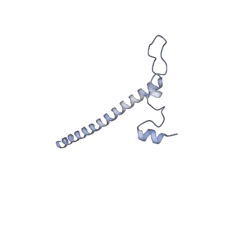 11395_6zse_j_v1-0
Human mitochondrial ribosome in complex with mRNA, A/P-tRNA and P/E-tRNA
