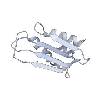 11395_6zse_k_v1-0
Human mitochondrial ribosome in complex with mRNA, A/P-tRNA and P/E-tRNA
