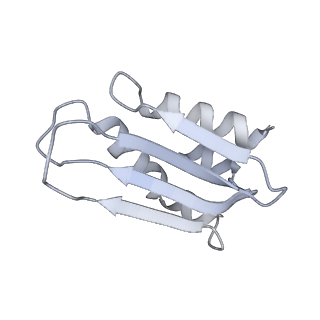 11395_6zse_k_v2-0
Human mitochondrial ribosome in complex with mRNA, A/P-tRNA and P/E-tRNA