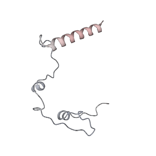 11395_6zse_l_v1-0
Human mitochondrial ribosome in complex with mRNA, A/P-tRNA and P/E-tRNA