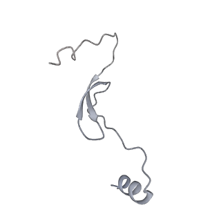 11395_6zse_m_v1-0
Human mitochondrial ribosome in complex with mRNA, A/P-tRNA and P/E-tRNA