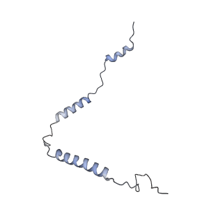 11395_6zse_o_v1-0
Human mitochondrial ribosome in complex with mRNA, A/P-tRNA and P/E-tRNA
