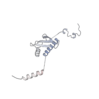 11395_6zse_p_v1-0
Human mitochondrial ribosome in complex with mRNA, A/P-tRNA and P/E-tRNA