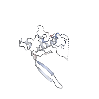 11395_6zse_r_v1-0
Human mitochondrial ribosome in complex with mRNA, A/P-tRNA and P/E-tRNA
