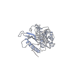 11395_6zse_s_v1-0
Human mitochondrial ribosome in complex with mRNA, A/P-tRNA and P/E-tRNA