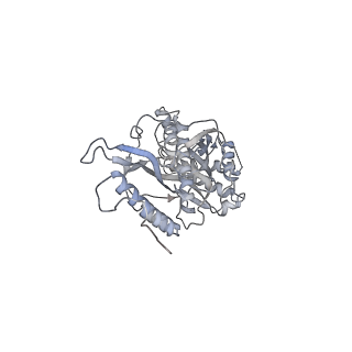 11395_6zse_s_v2-0
Human mitochondrial ribosome in complex with mRNA, A/P-tRNA and P/E-tRNA
