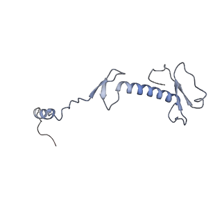 11397_6zsg_0_v1-0
Human mitochondrial ribosome in complex with mRNA, A-site tRNA, P-site tRNA and E-site tRNA