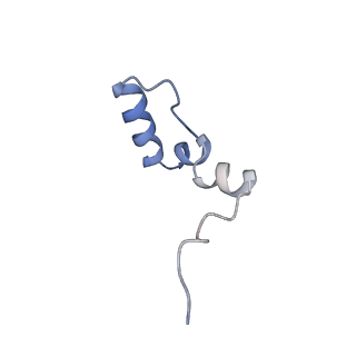 11397_6zsg_2_v1-0
Human mitochondrial ribosome in complex with mRNA, A-site tRNA, P-site tRNA and E-site tRNA