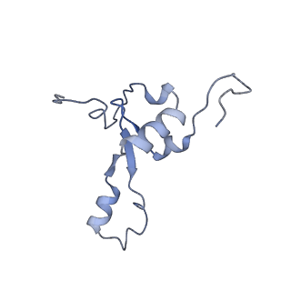 11397_6zsg_3_v1-0
Human mitochondrial ribosome in complex with mRNA, A-site tRNA, P-site tRNA and E-site tRNA