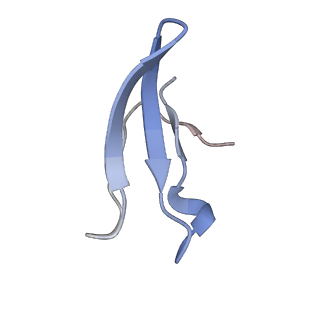 11397_6zsg_4_v1-0
Human mitochondrial ribosome in complex with mRNA, A-site tRNA, P-site tRNA and E-site tRNA