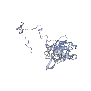 11397_6zsg_5_v1-0
Human mitochondrial ribosome in complex with mRNA, A-site tRNA, P-site tRNA and E-site tRNA