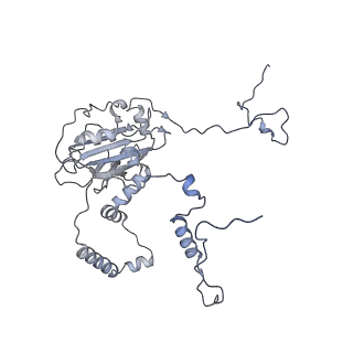 11397_6zsg_6_v1-0
Human mitochondrial ribosome in complex with mRNA, A-site tRNA, P-site tRNA and E-site tRNA