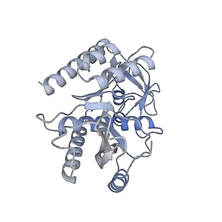 11397_6zsg_7_v1-0
Human mitochondrial ribosome in complex with mRNA, A-site tRNA, P-site tRNA and E-site tRNA