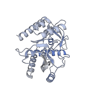 11397_6zsg_7_v2-0
Human mitochondrial ribosome in complex with mRNA, A-site tRNA, P-site tRNA and E-site tRNA