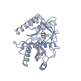 11397_6zsg_7_v3-0
Human mitochondrial ribosome in complex with mRNA, A-site tRNA, P-site tRNA and E-site tRNA