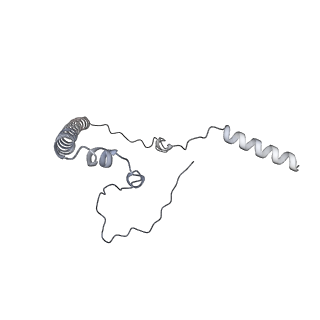 11397_6zsg_8_v1-0
Human mitochondrial ribosome in complex with mRNA, A-site tRNA, P-site tRNA and E-site tRNA