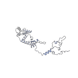 11397_6zsg_A1_v2-0
Human mitochondrial ribosome in complex with mRNA, A-site tRNA, P-site tRNA and E-site tRNA