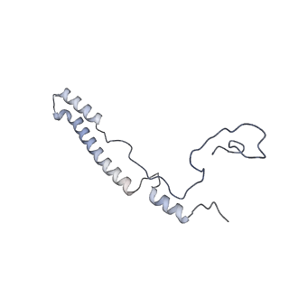 11397_6zsg_A2_v1-0
Human mitochondrial ribosome in complex with mRNA, A-site tRNA, P-site tRNA and E-site tRNA