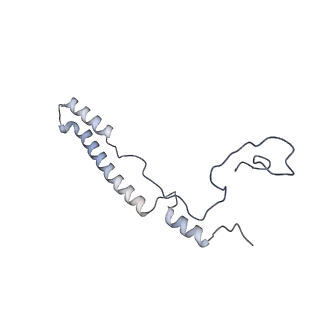 11397_6zsg_A2_v4-0
Human mitochondrial ribosome in complex with mRNA, A-site tRNA, P-site tRNA and E-site tRNA