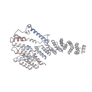 11397_6zsg_A4_v1-0
Human mitochondrial ribosome in complex with mRNA, A-site tRNA, P-site tRNA and E-site tRNA