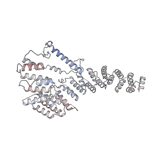 11397_6zsg_A4_v2-0
Human mitochondrial ribosome in complex with mRNA, A-site tRNA, P-site tRNA and E-site tRNA