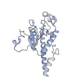 11397_6zsg_AB_v1-0
Human mitochondrial ribosome in complex with mRNA, A-site tRNA, P-site tRNA and E-site tRNA