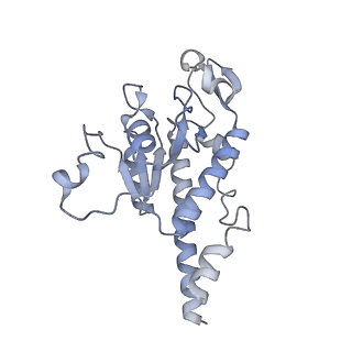 11397_6zsg_AB_v2-0
Human mitochondrial ribosome in complex with mRNA, A-site tRNA, P-site tRNA and E-site tRNA