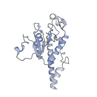 11397_6zsg_AB_v3-0
Human mitochondrial ribosome in complex with mRNA, A-site tRNA, P-site tRNA and E-site tRNA