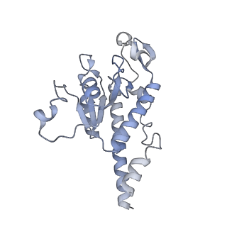 11397_6zsg_AB_v4-0
Human mitochondrial ribosome in complex with mRNA, A-site tRNA, P-site tRNA and E-site tRNA