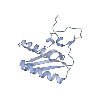 11397_6zsg_AC_v1-0
Human mitochondrial ribosome in complex with mRNA, A-site tRNA, P-site tRNA and E-site tRNA