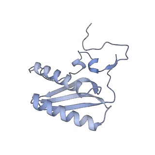 11397_6zsg_AC_v3-0
Human mitochondrial ribosome in complex with mRNA, A-site tRNA, P-site tRNA and E-site tRNA