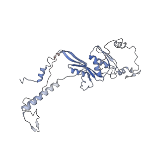 11397_6zsg_AD_v1-0
Human mitochondrial ribosome in complex with mRNA, A-site tRNA, P-site tRNA and E-site tRNA