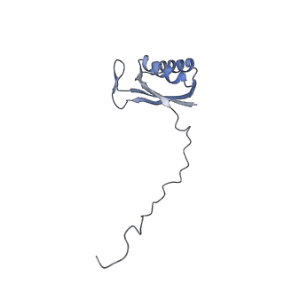 11397_6zsg_AE_v1-0
Human mitochondrial ribosome in complex with mRNA, A-site tRNA, P-site tRNA and E-site tRNA