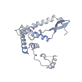 11397_6zsg_AF_v1-0
Human mitochondrial ribosome in complex with mRNA, A-site tRNA, P-site tRNA and E-site tRNA