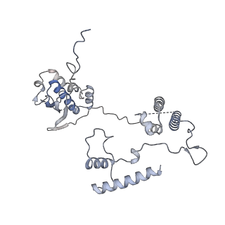 11397_6zsg_AG_v1-0
Human mitochondrial ribosome in complex with mRNA, A-site tRNA, P-site tRNA and E-site tRNA