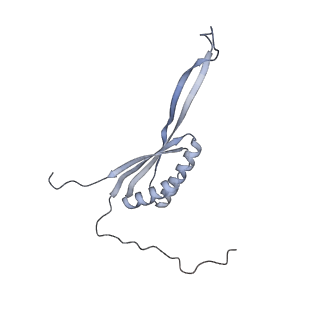 11397_6zsg_AH_v1-0
Human mitochondrial ribosome in complex with mRNA, A-site tRNA, P-site tRNA and E-site tRNA