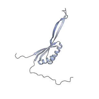 11397_6zsg_AH_v3-0
Human mitochondrial ribosome in complex with mRNA, A-site tRNA, P-site tRNA and E-site tRNA