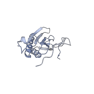 11397_6zsg_AI_v1-0
Human mitochondrial ribosome in complex with mRNA, A-site tRNA, P-site tRNA and E-site tRNA