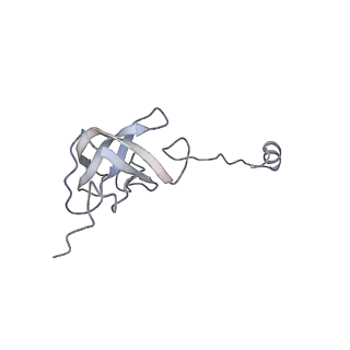 11397_6zsg_AJ_v1-0
Human mitochondrial ribosome in complex with mRNA, A-site tRNA, P-site tRNA and E-site tRNA