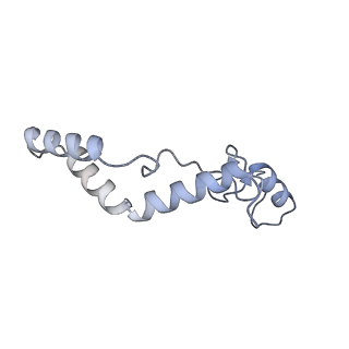 11397_6zsg_AK_v1-0
Human mitochondrial ribosome in complex with mRNA, A-site tRNA, P-site tRNA and E-site tRNA