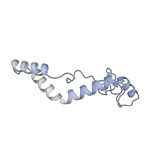 11397_6zsg_AK_v3-0
Human mitochondrial ribosome in complex with mRNA, A-site tRNA, P-site tRNA and E-site tRNA