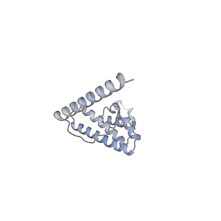11397_6zsg_AL_v1-0
Human mitochondrial ribosome in complex with mRNA, A-site tRNA, P-site tRNA and E-site tRNA