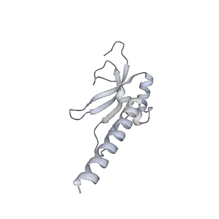 11397_6zsg_AM_v1-0
Human mitochondrial ribosome in complex with mRNA, A-site tRNA, P-site tRNA and E-site tRNA