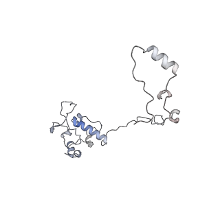 11397_6zsg_AO_v1-0
Human mitochondrial ribosome in complex with mRNA, A-site tRNA, P-site tRNA and E-site tRNA