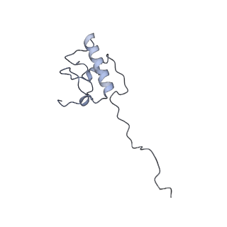 11397_6zsg_AP_v1-0
Human mitochondrial ribosome in complex with mRNA, A-site tRNA, P-site tRNA and E-site tRNA
